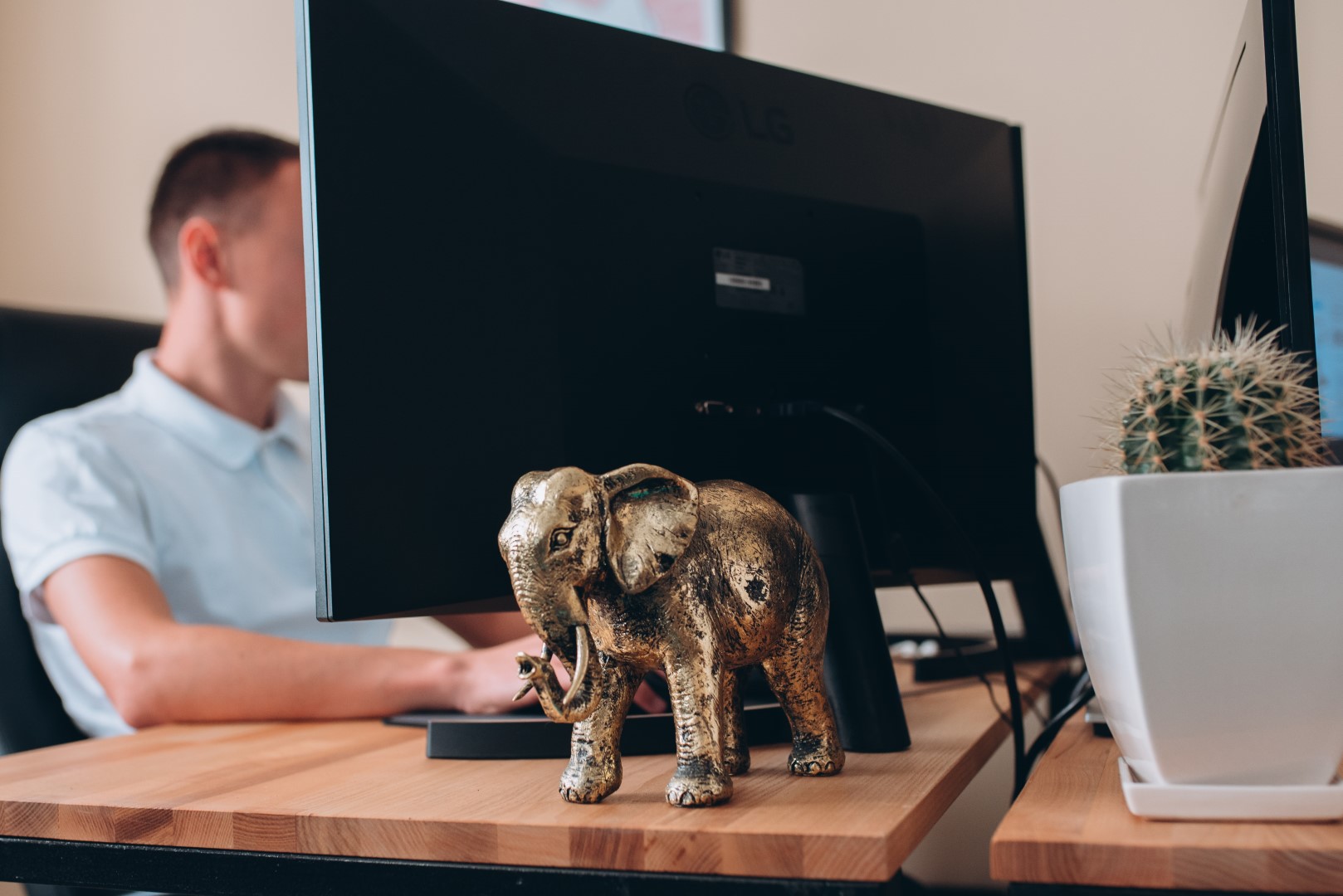 Welcome to Asabix –  Your Partner in Success - Picture №7