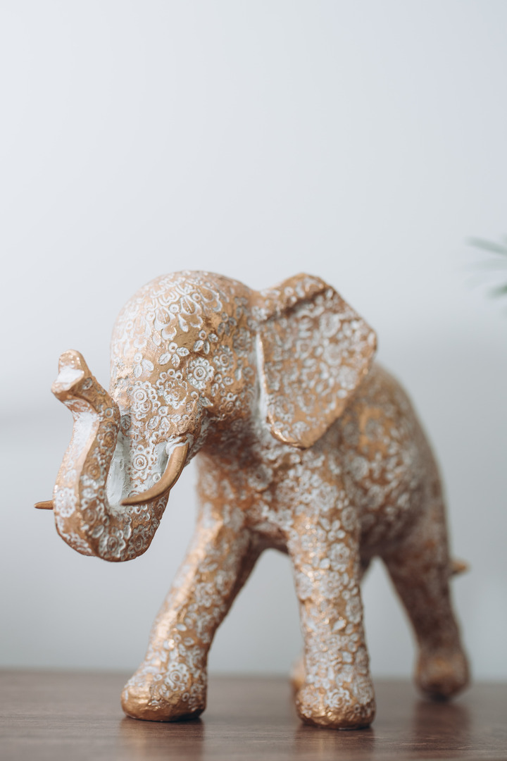 Welcome to Asabix –  Your Partner in Success - Picture №13