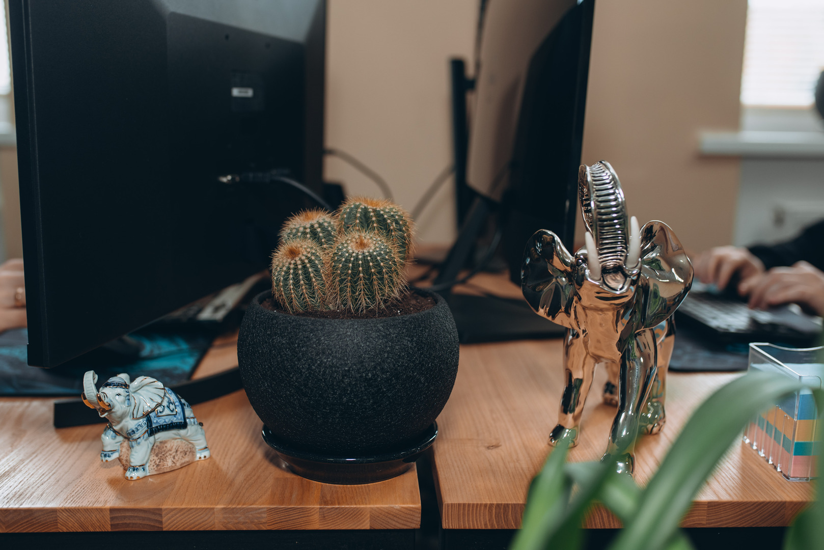 Welcome to Asabix –  Your Partner in Success - Picture №10